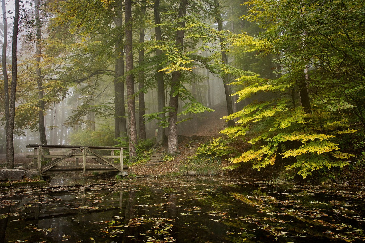 The Bridge That Started It All: Finding the Real Site of Ichabod Crane's Fate